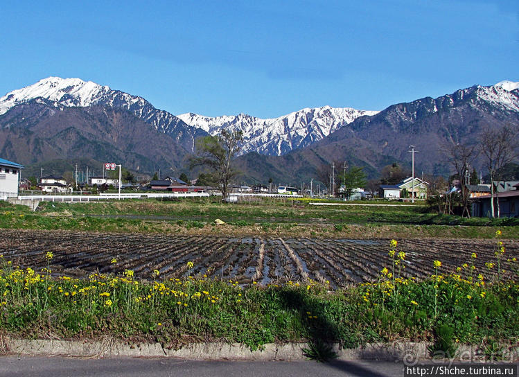 В Японии тоже есть Альпы! Какие-какие? Японские