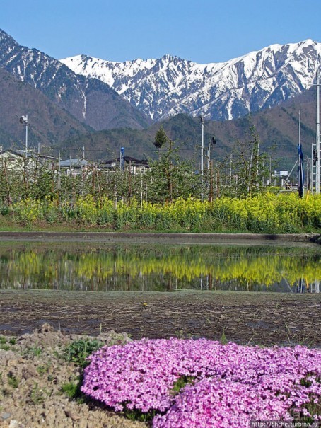 В Японии тоже есть Альпы! Какие-какие? Японские