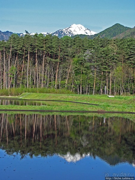 В Японии тоже есть Альпы! Какие-какие? Японские