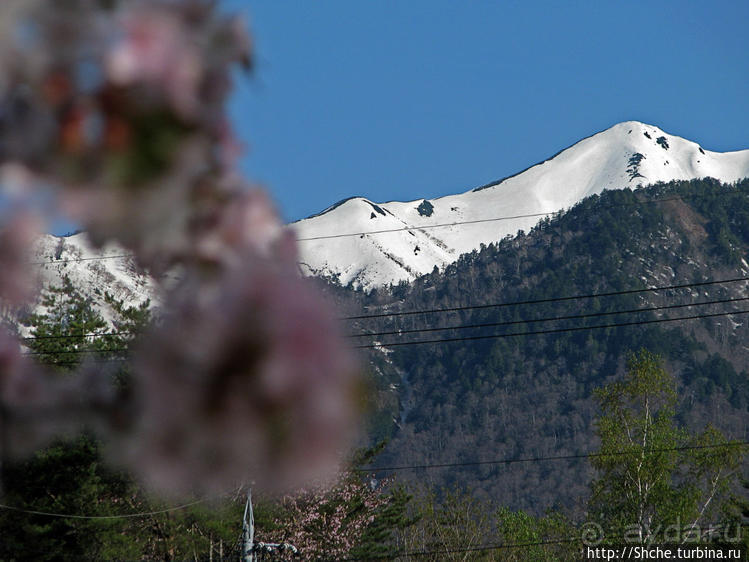 В Японии тоже есть Альпы! Какие-какие? Японские