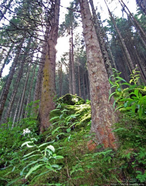 Кримльский водопад - самый высокий водопад Европы