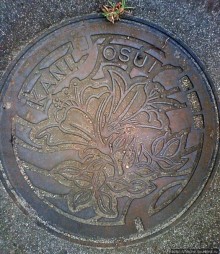 ЯПОНИЯ. Здесь и на асфальте цветы...