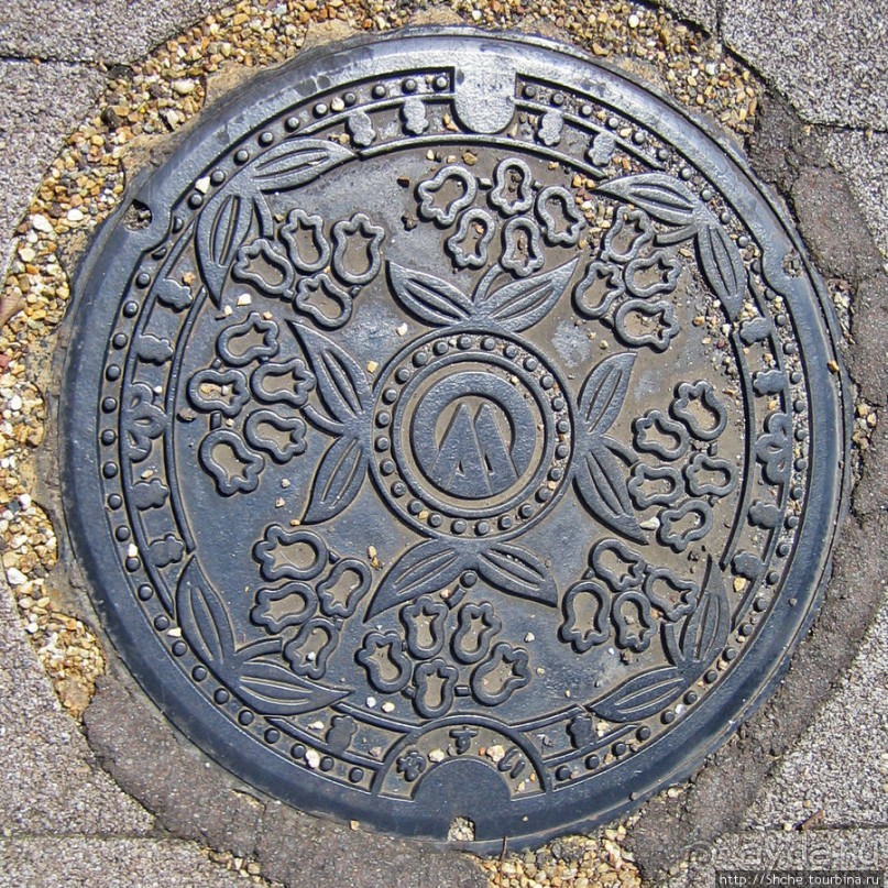 Альбом отзыва "ЯПОНИЯ. Здесь и на асфальте цветы..."