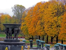 Золотая осень в Норвегии. Раскрашенная столица Осло
