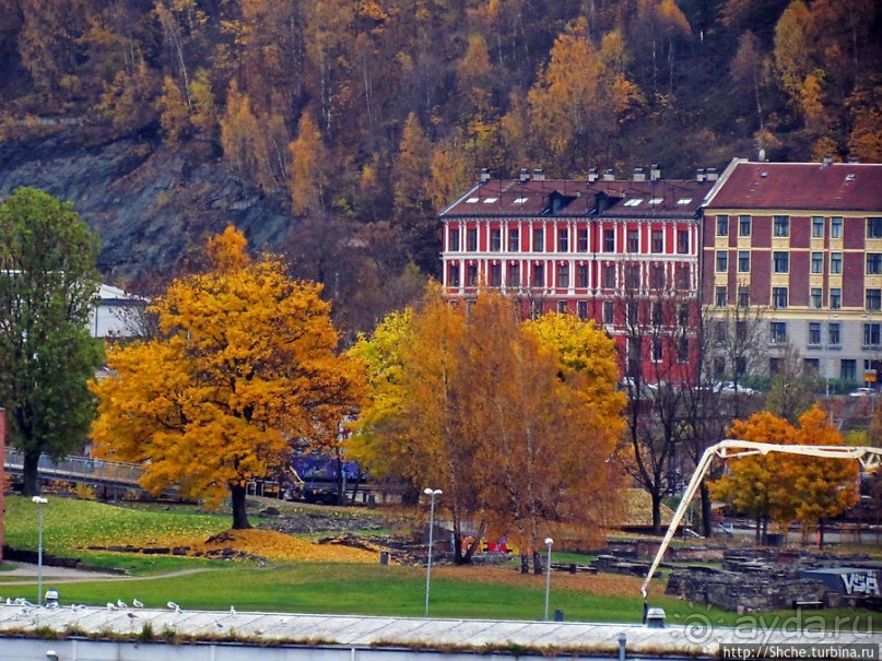 Золотая осень в Норвегии. Раскрашенная столица Осло