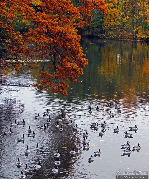 Золотая осень в Норвегии. Раскрашенная столица Осло