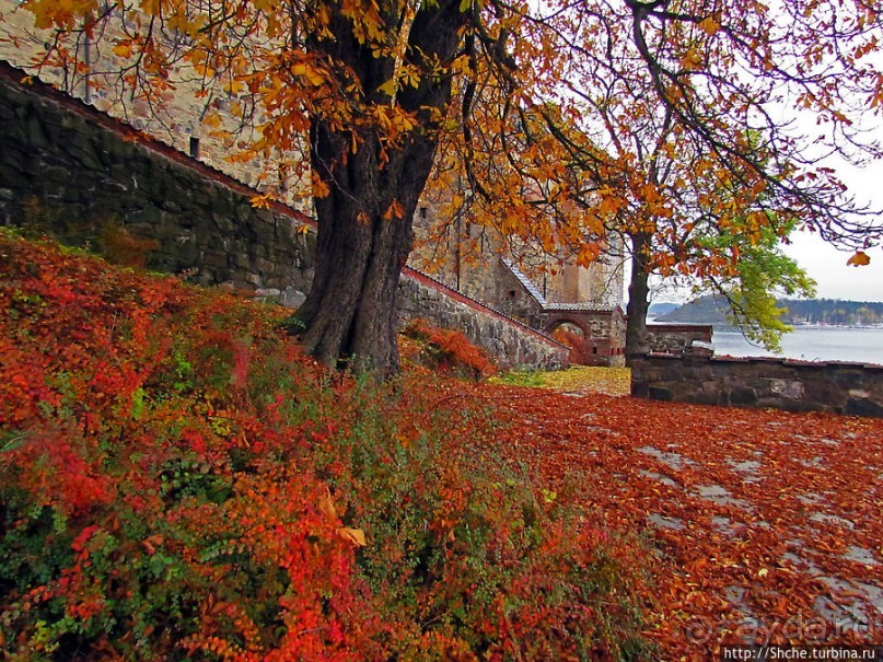 Золотая осень в Норвегии. Раскрашенная столица Осло
