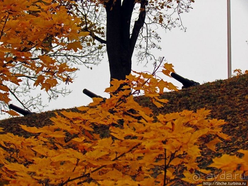 Золотая осень в Норвегии. Раскрашенная столица Осло