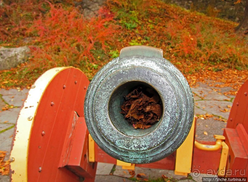 Золотая осень в Норвегии. Раскрашенная столица Осло