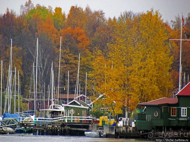 Золотая осень в Норвегии. Раскрашенная столица Осло