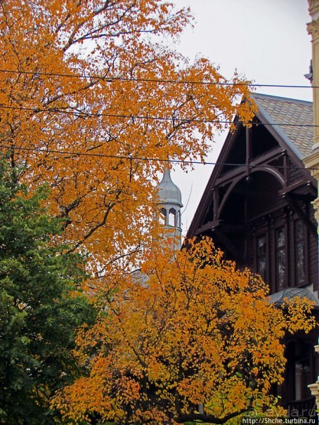 Золотая осень в Норвегии. Раскрашенная столица Осло