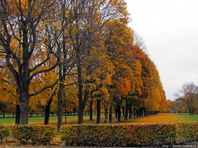 Золотая осень в Норвегии. Раскрашенная столица Осло