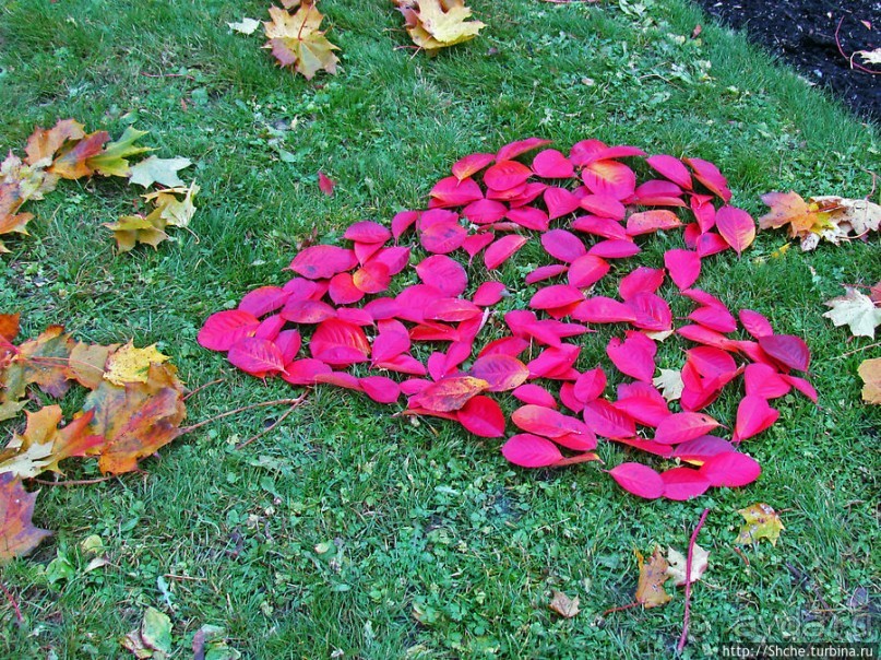 Золотая осень в Норвегии. Раскрашенная столица Осло