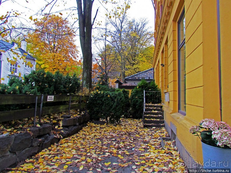 Золотая осень в Норвегии. Раскрашенная столица Осло