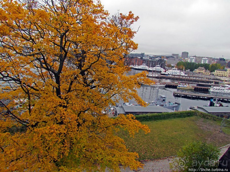 Золотая осень в Норвегии. Раскрашенная столица Осло