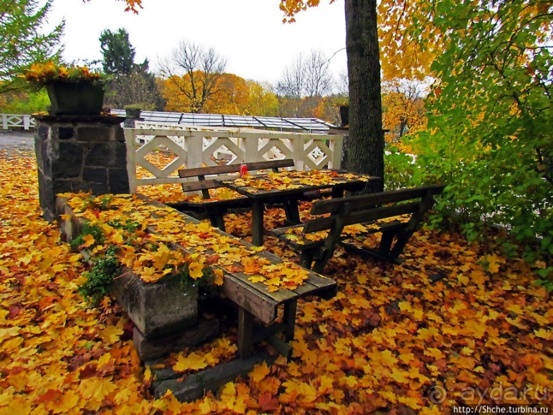 Золотая осень в Норвегии. Раскрашенная столица Осло