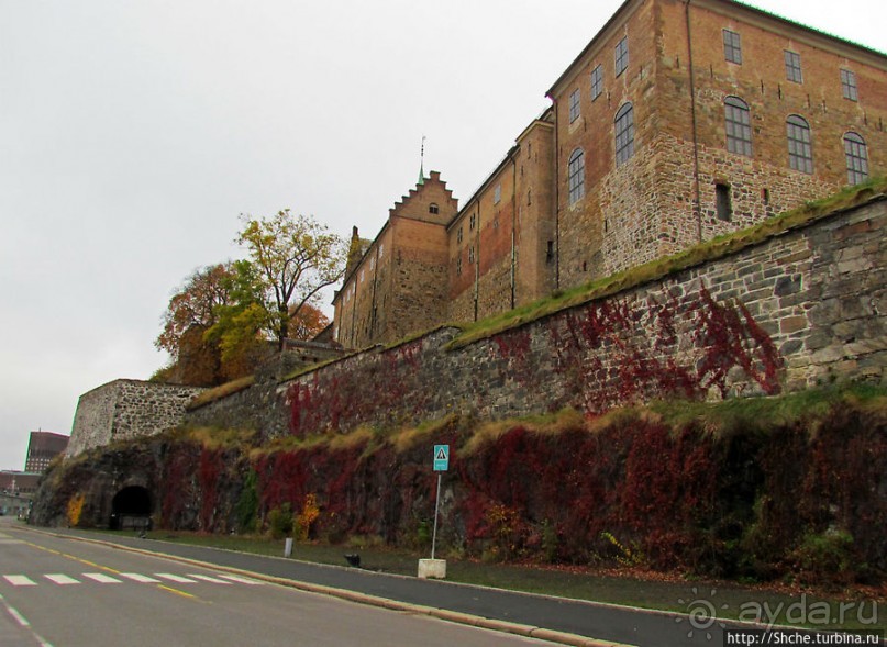 Золотая осень в Норвегии. Раскрашенная столица Осло