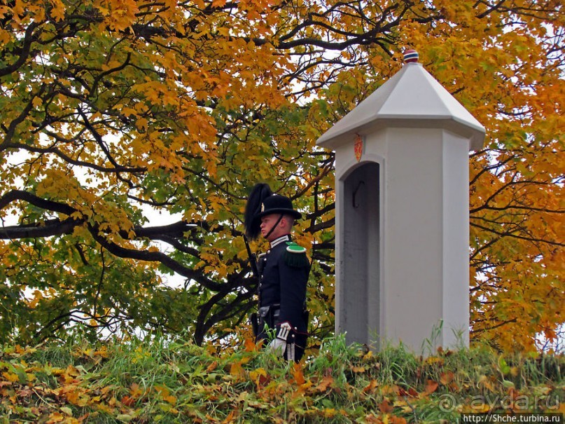 Золотая осень в Норвегии. Раскрашенная столица Осло