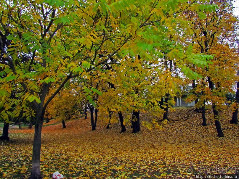 Золотая осень в Норвегии. Раскрашенная столица Осло