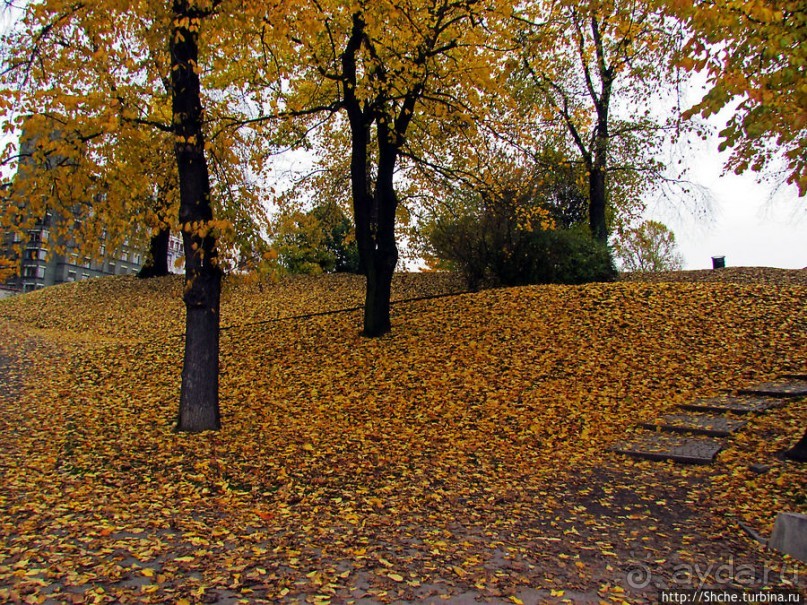 Золотая осень в Норвегии. Раскрашенная столица Осло
