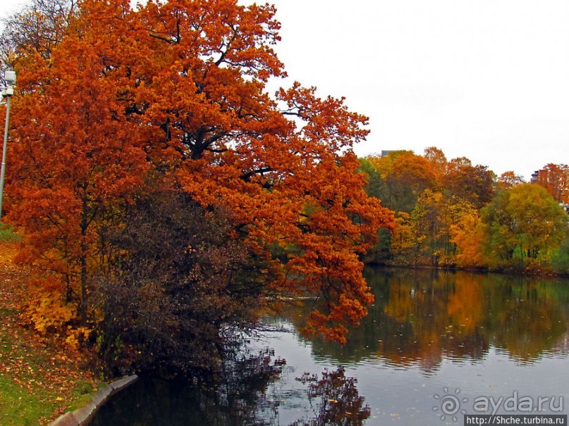 Золотая осень в Норвегии. Раскрашенная столица Осло