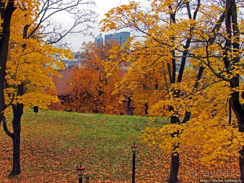 Золотая осень в Норвегии. Раскрашенная столица Осло