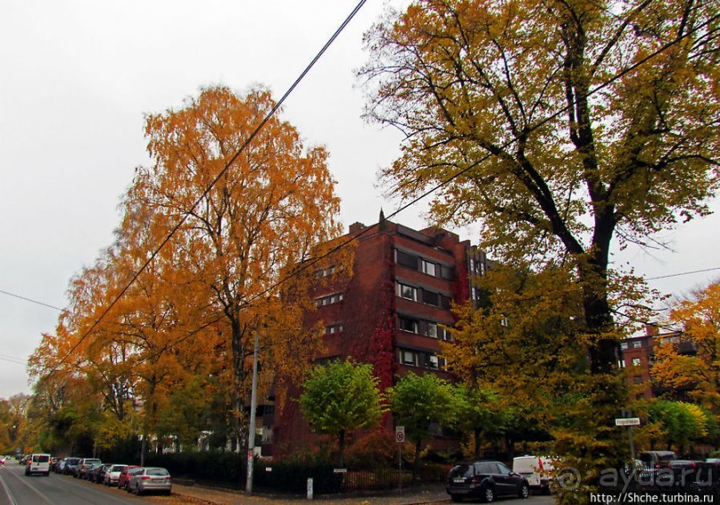 Золотая осень в Норвегии. Раскрашенная столица Осло