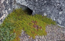 ЗаМораживающее зрелище