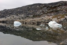 ЗаМораживающее зрелище