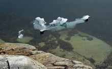 ЗаМораживающее зрелище