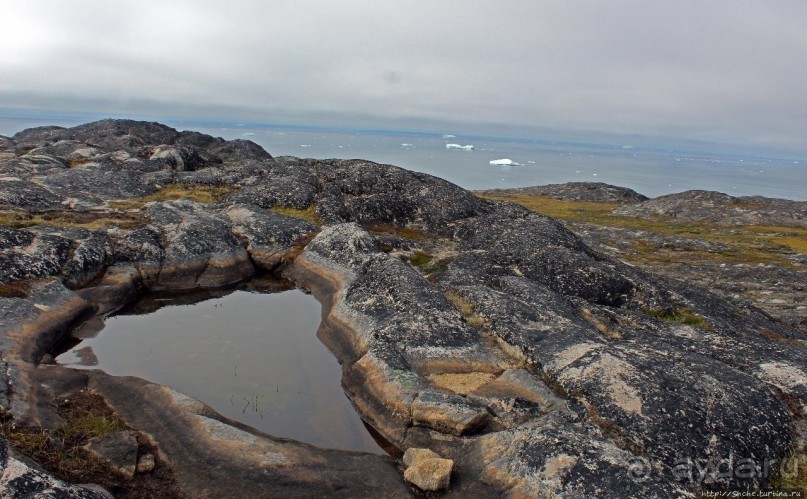 ЗаМораживающее зрелище