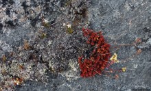 ЗаМораживающее зрелище