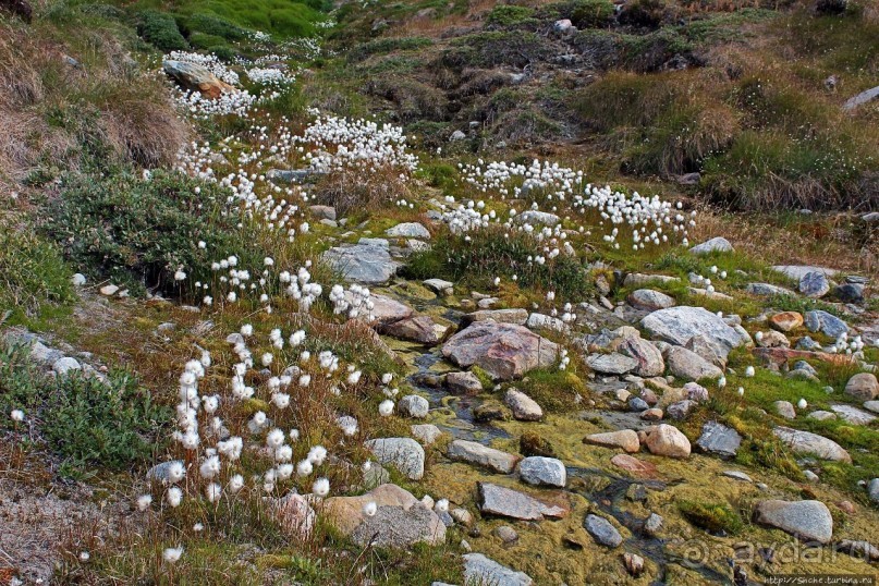 ЗаМораживающее зрелище