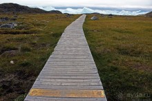 ЗаМораживающее зрелище