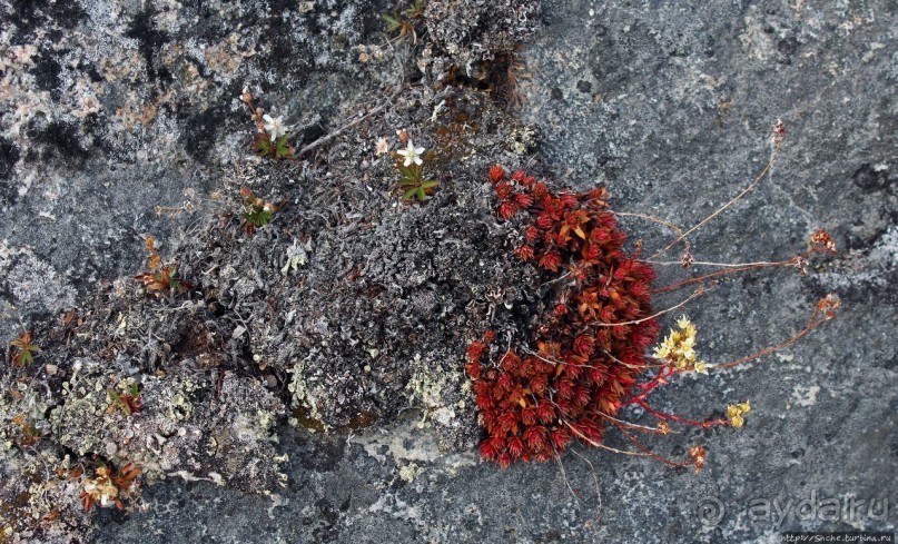 ЗаМораживающее зрелище