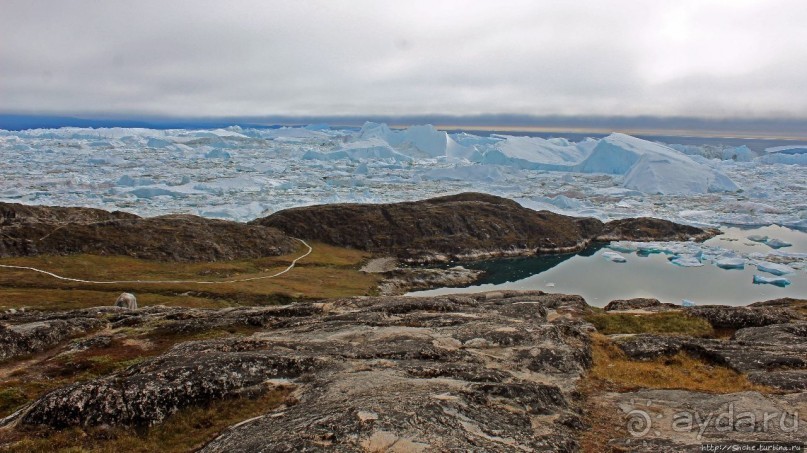 ЗаМораживающее зрелище