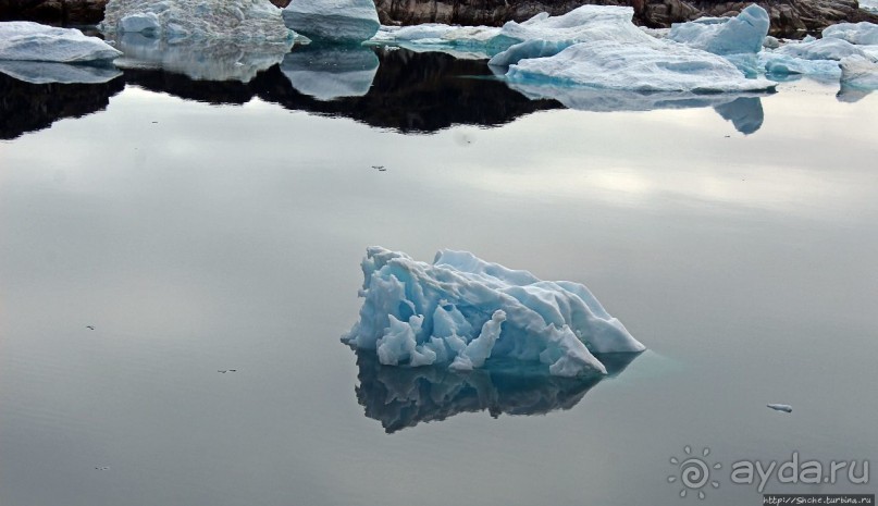 ЗаМораживающее зрелище