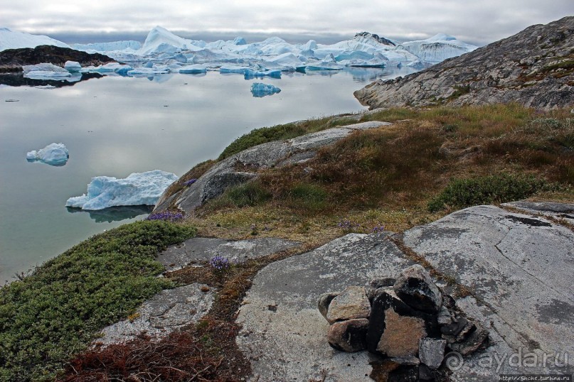 ЗаМораживающее зрелище