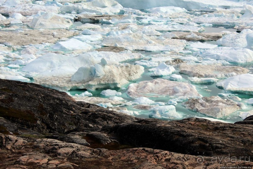 ЗаМораживающее зрелище