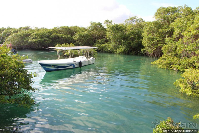 Галапагосы. Увертюра. Жизнь одного причала