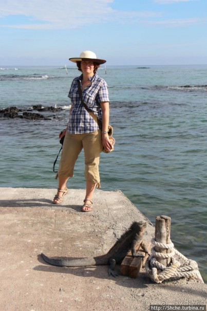 Галапагосы. Увертюра. Жизнь одного причала