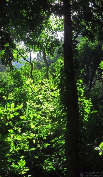 Кипяток (мужской бассейн)