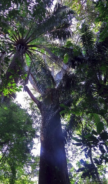 Кипяток (мужской бассейн)