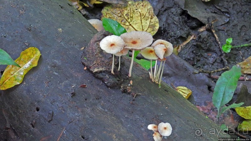 Кипяток (мужской бассейн)