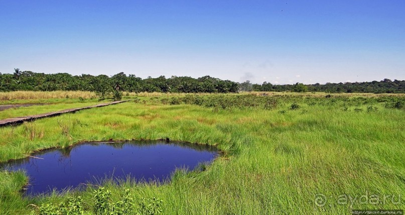 Кипяток (мужской бассейн)