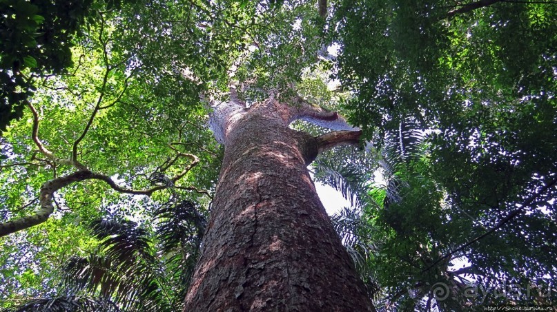 Кипяток (мужской бассейн)