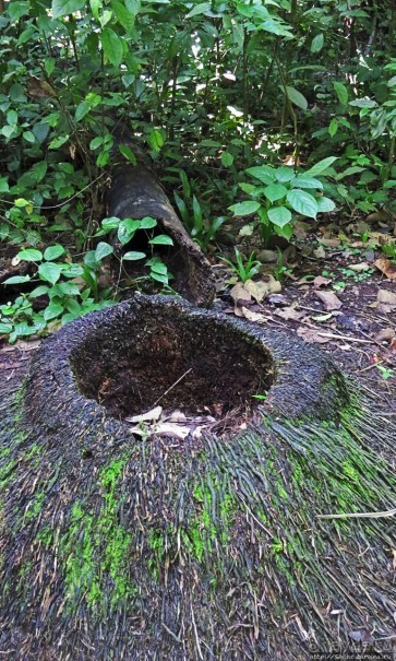 Кипяток (мужской бассейн)