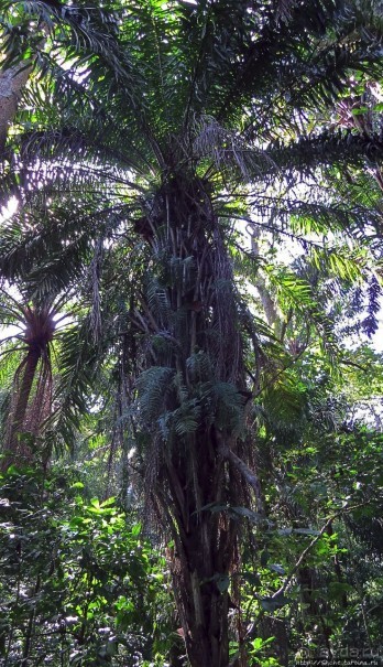 Кипяток (мужской бассейн)