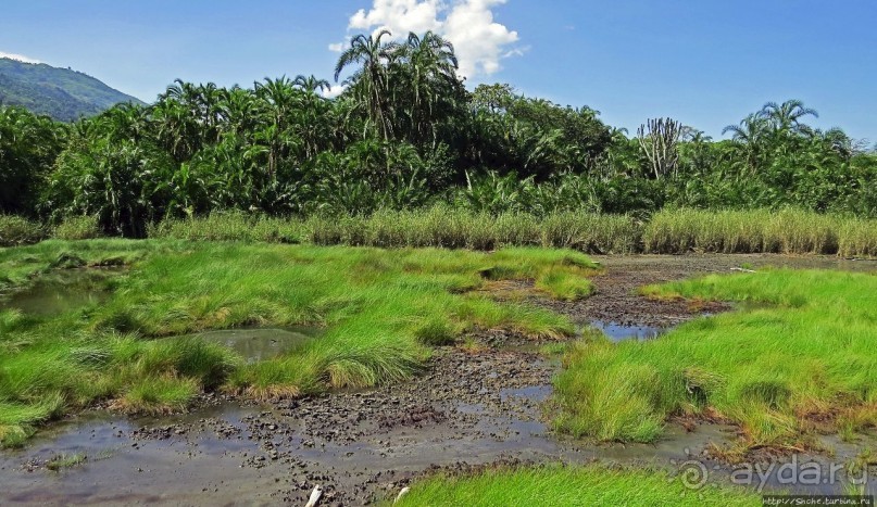 Кипяток (мужской бассейн)