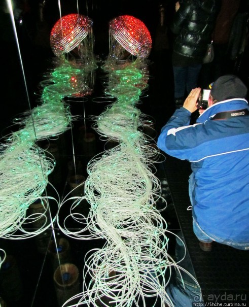 Альбом отзыва "Медуза Левиафан от Swarovski - достойнейшая из неповторимых"